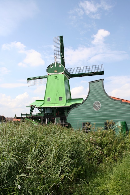 windmolen in Holland