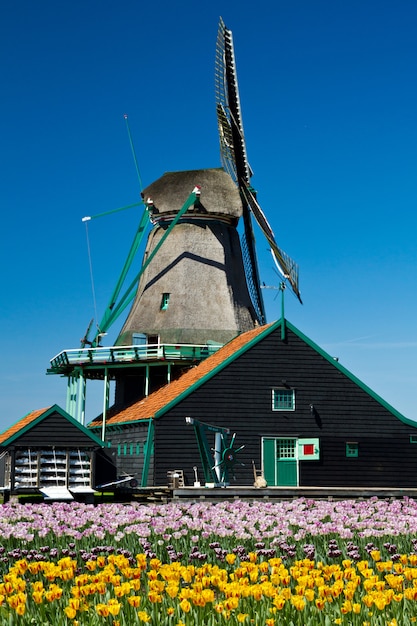 Foto windmolen in holland