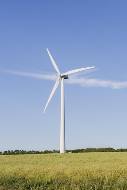 Foto windmolen op het veld tegen de lucht