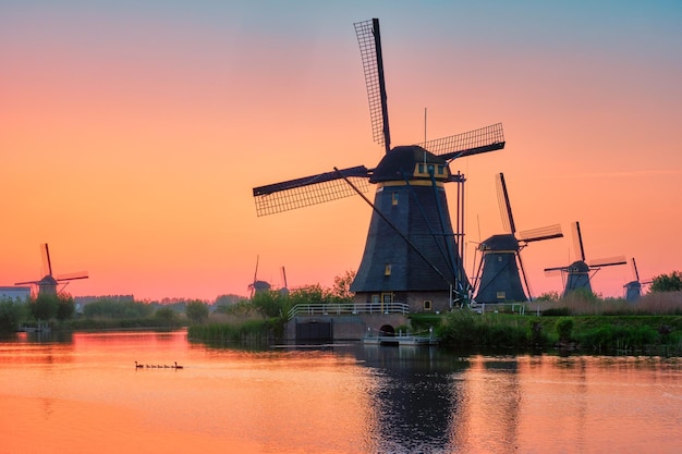 Windmolens bij kinderdijk in holland nederland