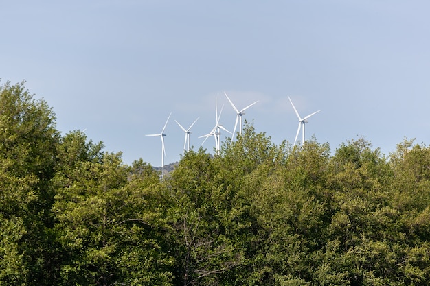 Windmolens die schone en hernieuwbare energie opwekken in een windpark