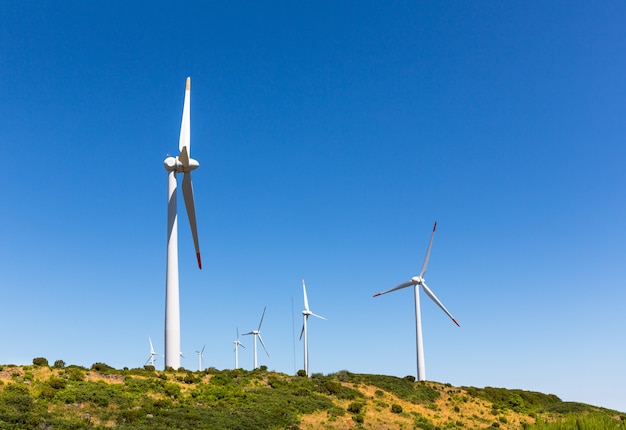 Windmolens in de vallei