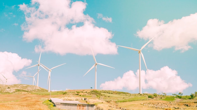 Foto windmolens in het veld