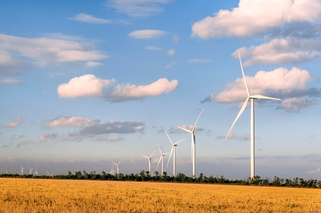 Windmolens op geel veld en blauwe hemelachtergrond Groene energieconcept