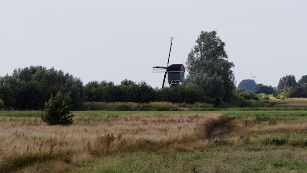 Foto windmolens op het veld tegen de lucht