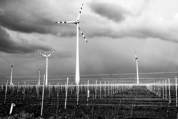 Foto windmolens tegen de lucht