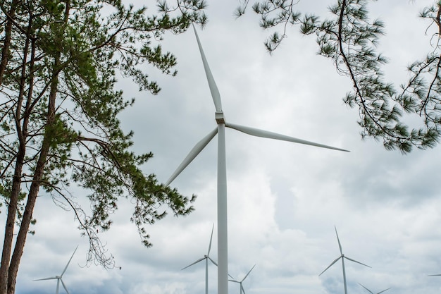 Windmolens voor stroomproductie