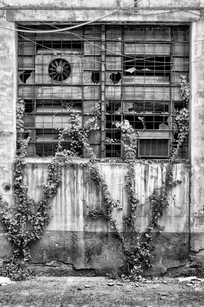 Photo window of abandoned building