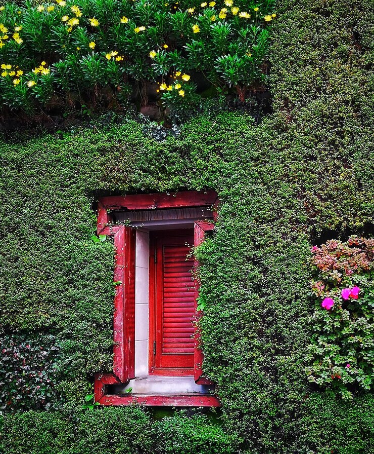 फोटो window amidst plants