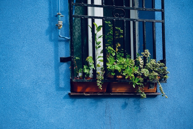 window on the blue building facade