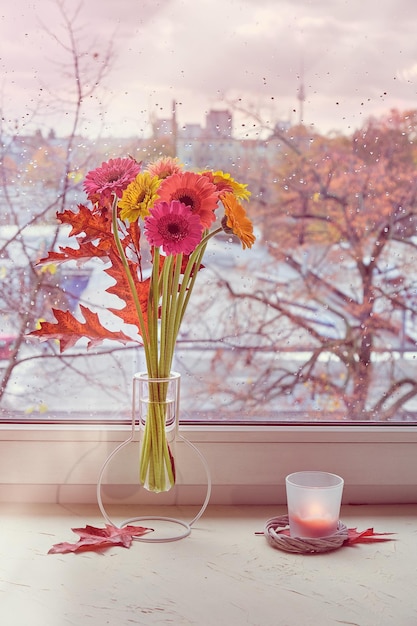 Window board with bunch of gerbera flowers Autumn or winter trees outside Vibrant decorations