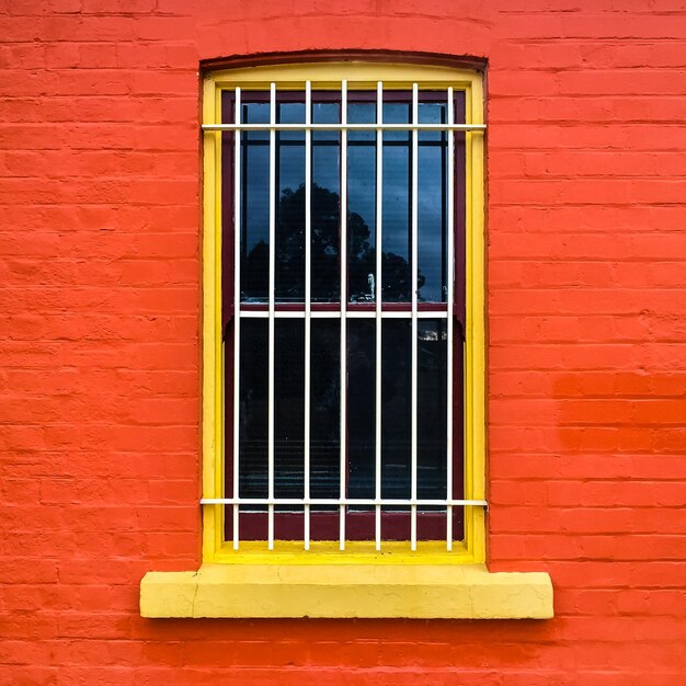 Window of building