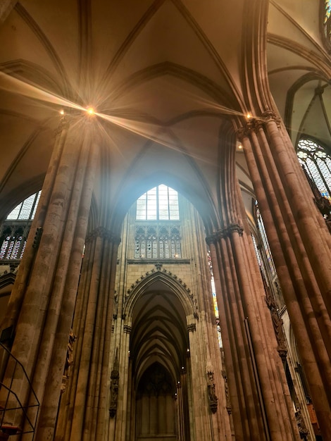 A window in a cathedral that says " st. vi. "