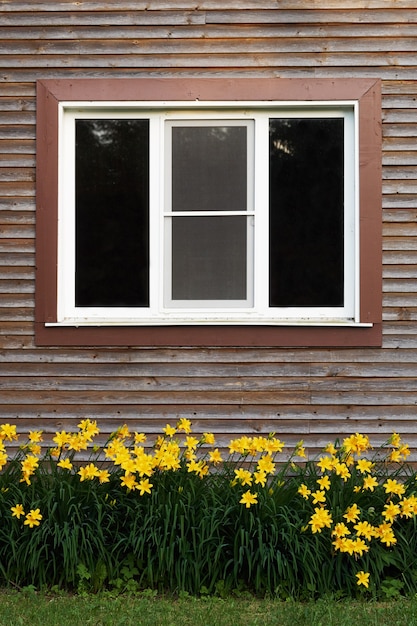 Finestra di una casa di legno di campagna con daylilies gialli che crescono sotto di essa