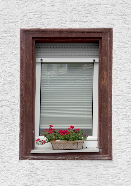 Photo window and flower pot