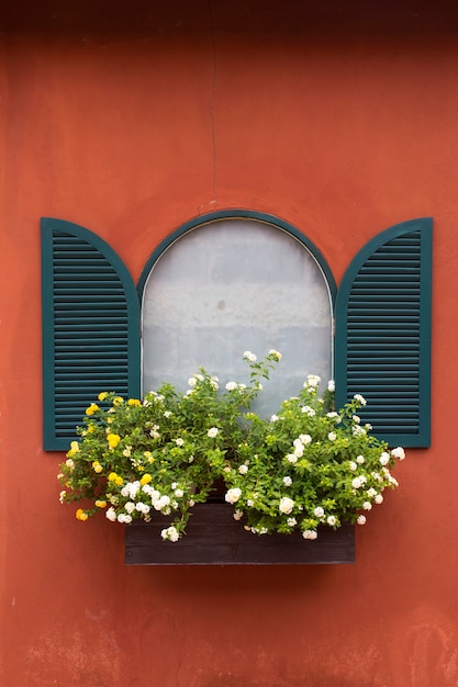 Window Flower