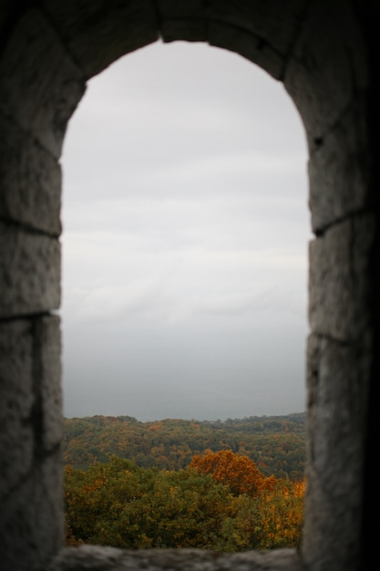 Foto finestra sulla natura