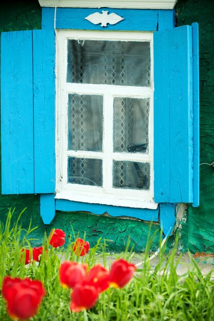 Window of old house and spring flowers
