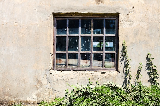 Window in old shabby building