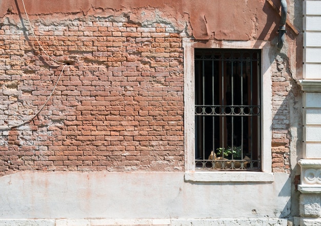 Photo window in oldfasioned house with flowers