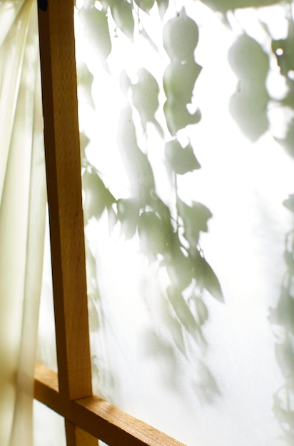 A window view of green leaves in the afternoon sunlight