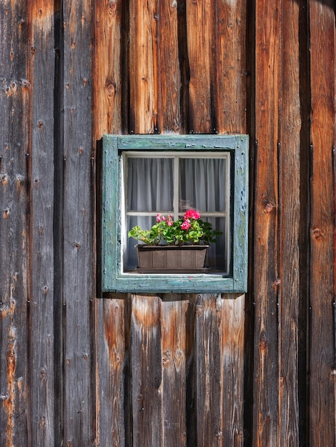 Window in the wall and potted flowers Vintage interior and exterior design of a house Wooden walls made of boards Large resolution photo for design