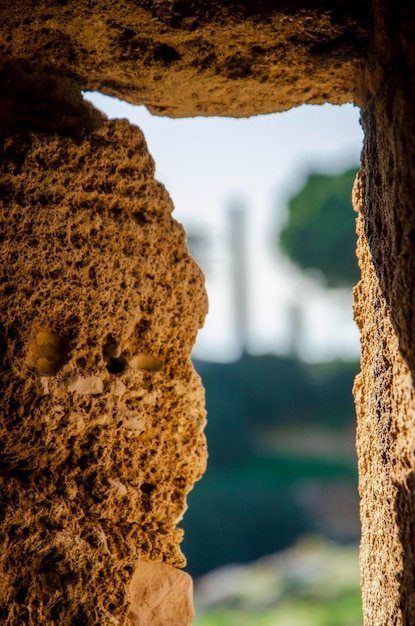 A window in a wall with a tree in the background