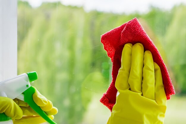 Window washing and home cleaning. Woman sprays a detergent on a glass.