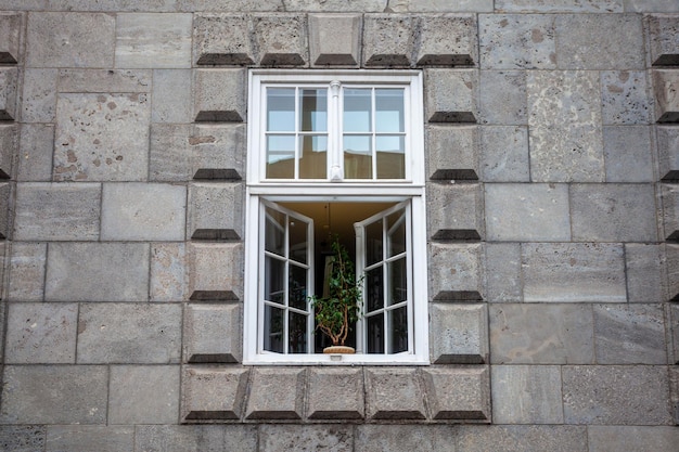 Окно с цветком в государственном замке