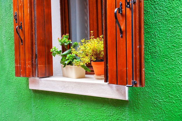 녹색 벽에 꽃이 있는 창. 부라노 섬, 베니스, 이탈리아의 다채로운 건축물.