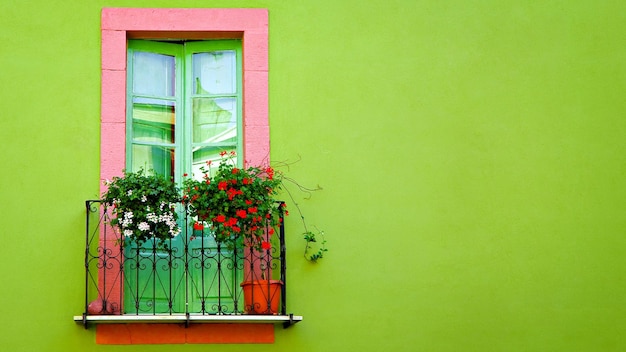 a window with a pink frame and a green fence with a plant on it