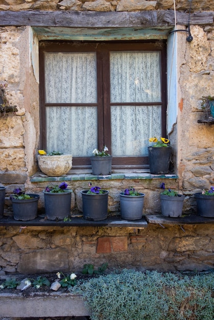 Window with pots