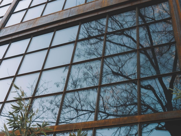 A window with a reflection of trees in it