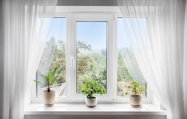 Окно с белым тюлем и горшечными растениями на подоконнике. Вид на природу из окна