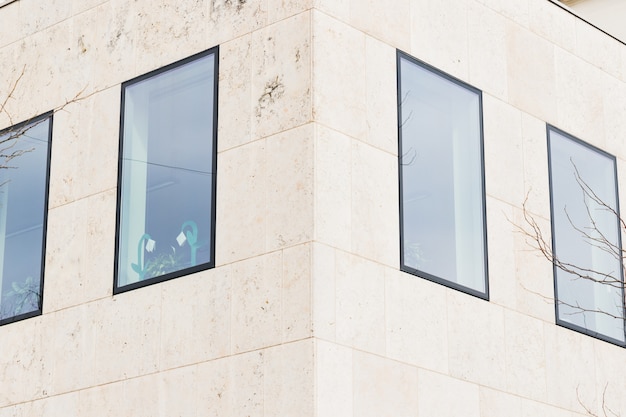 Windows in the facade of office buildings