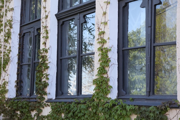 Фото Окна старого дома с растениями на открытом воздухе