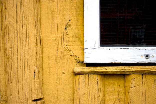 Windows and shutters. Old tree. Concept for design. Old buildings.