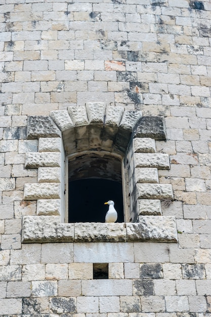 요새 Mamula의 돌 벽에 창. 몬테네그로, Boka-Kotor Bay.