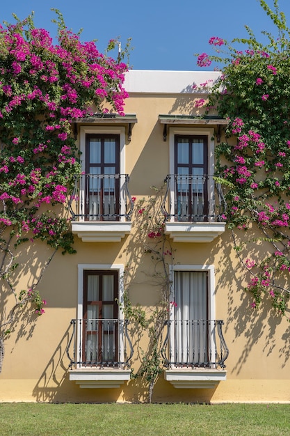 トルコ、ボドルムの壁に鋳鉄製の装飾品と花の木のある建物のファサードにバルコニー付きの窓
