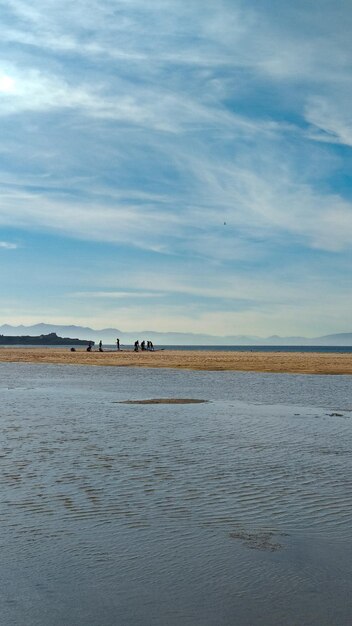 Windsurfers in the beach