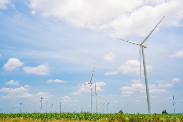 Windturbine hernieuwbare energiebron zomer met blauwe lucht