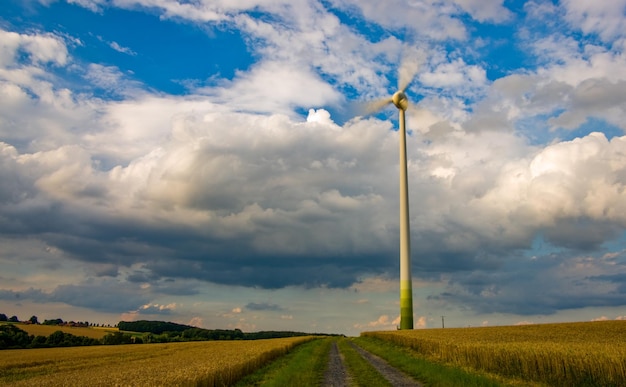 Windturbine in een veld