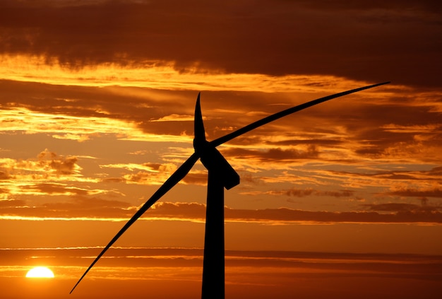 Windturbine op de zonsondergang