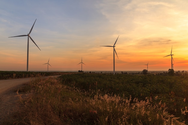 Windturbine power generator farm bij zonsondergang