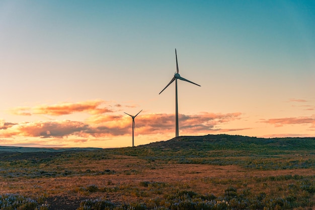 Windturbine windmolen energie op heuvel in de zonsondergang alternatieve schone energie