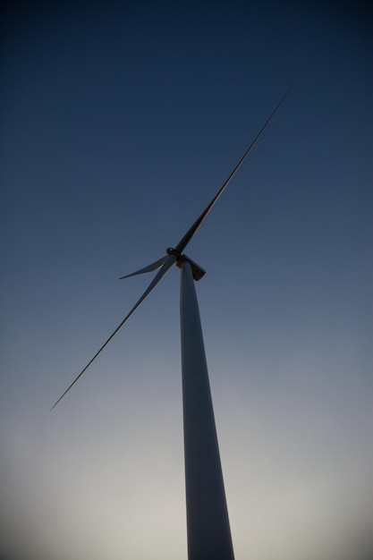 Windturbinepark van silhouet bij zonsondergang