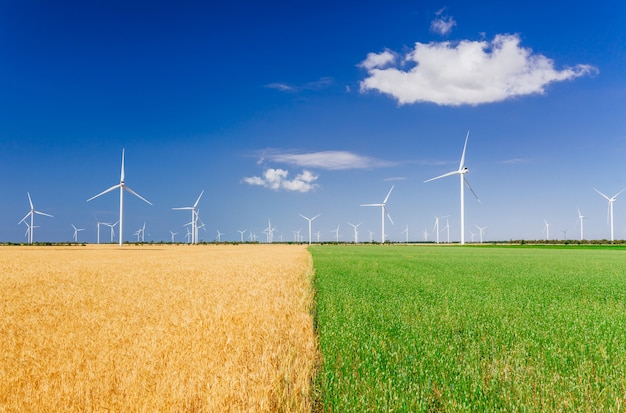 Windturbines die elektriciteit op gebied produceren. Eco-energie, ecologie en wisselstroomconcept.