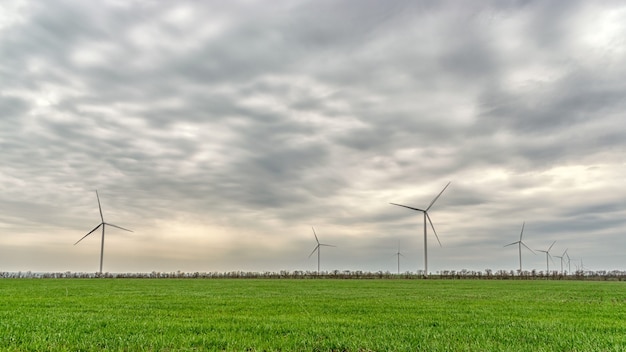 Windturbines die elektriciteit opwekken in een groen veld