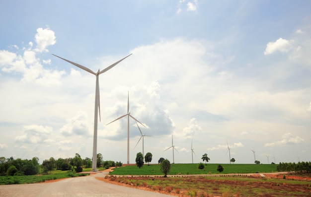 Windturbines die elektriciteit produceren