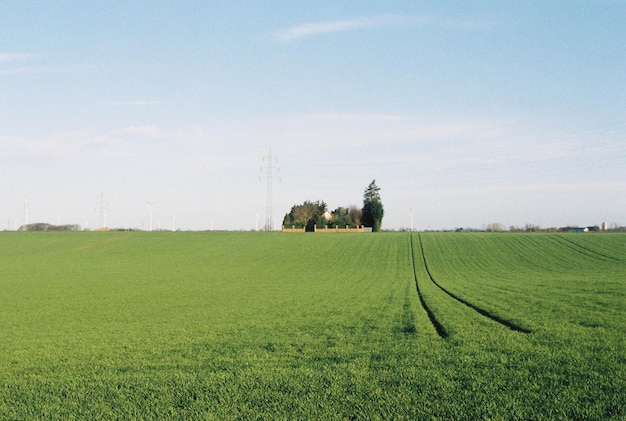 Windturbines en elektriciteitsleidingen op grasveld